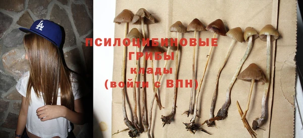 спайс Верхний Тагил
