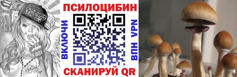Псилоцибиновые грибы мицелий  мега вход  Мончегорск  магазин продажи  