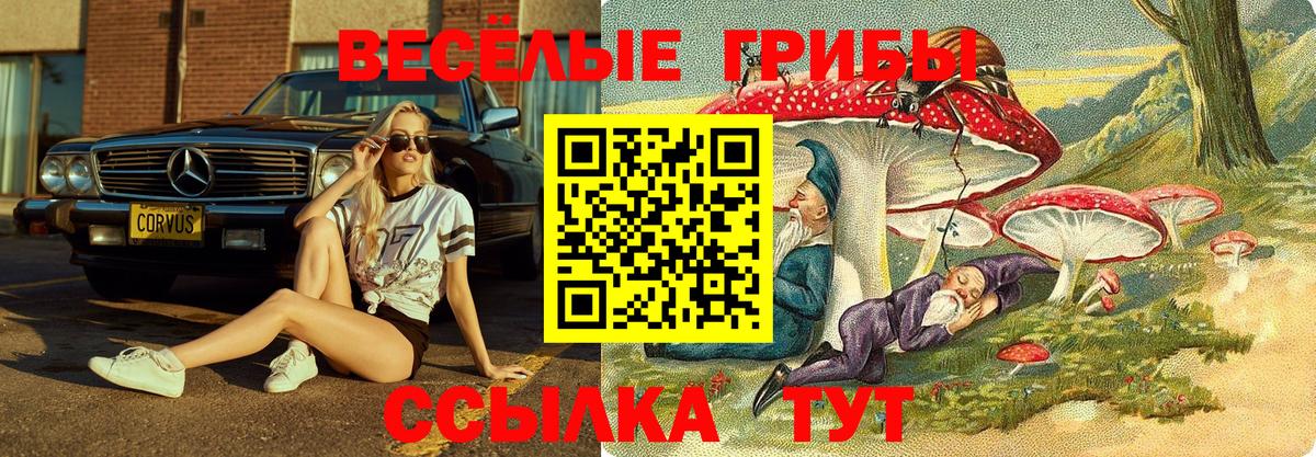 Галлюциногенные грибы Psilocybe Мончегорск